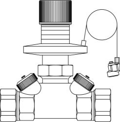 Bild von OVENTROP Differenzdruckregler „Hycocon DTZ“ DN 50, G 2 3/8 AG, PN 16,Sollwert 250 - 600 mbar, Art.Nr. : 1062316