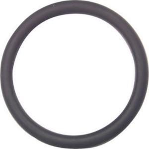 Bild von +GF+ O-Ring EPDM/FKM, Grösse: 25, Art.Nr.: 748410007