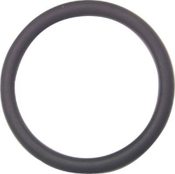 Bild von +GF+ O-Ring (4), Grösse: 32, Art.Nr.: 748410002